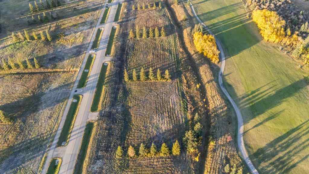 MLS® A2263118 - 718 Royalite Way   in NONE Diamond Valley, Land