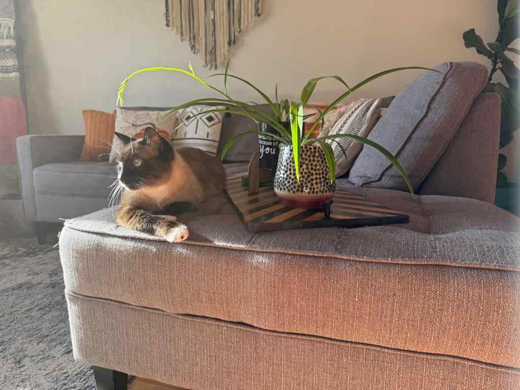 MLS® A2263146 - 1148 Newcastle Road   in Newcastle Drumheller, Residential