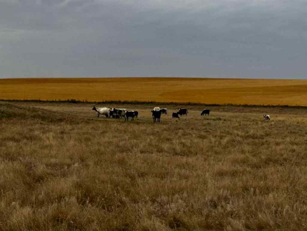 MLS® A2263165 -  North East  29 28 18 W4   in NONE Rural Starland County, Land