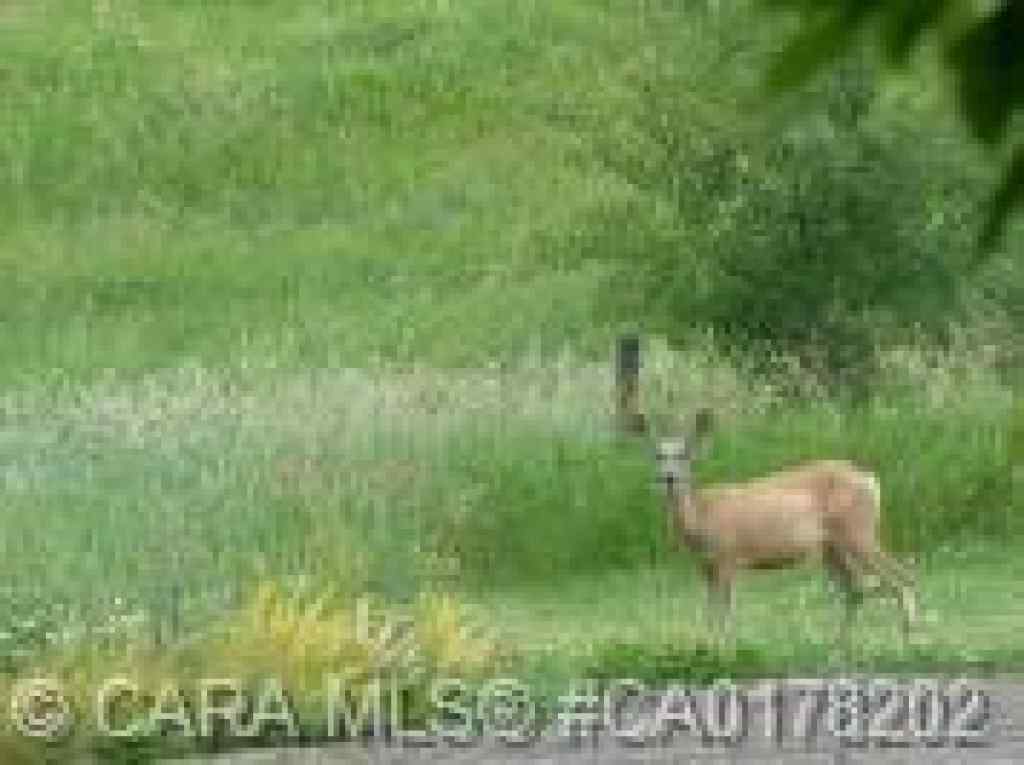 MLS® A2263211 - Unit #29 420069 Range Road 284   in Grandview Estates Rural Ponoka County, Land