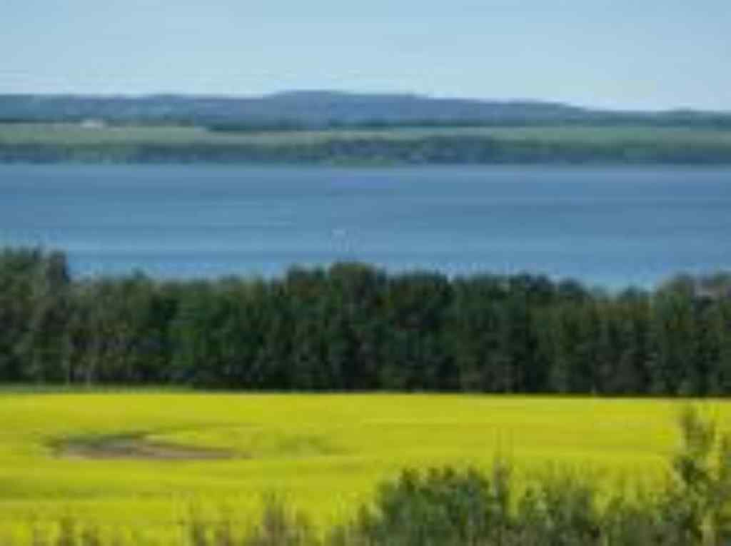MLS® A2263216 - Unit #12 420069 Range Road 284   in Grandview Estates Rural Ponoka County, Land