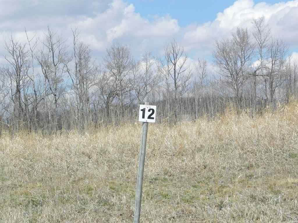 MLS® A2263216 - Unit #12 420069 Range Road 284   in Grandview Estates Rural Ponoka County, Land