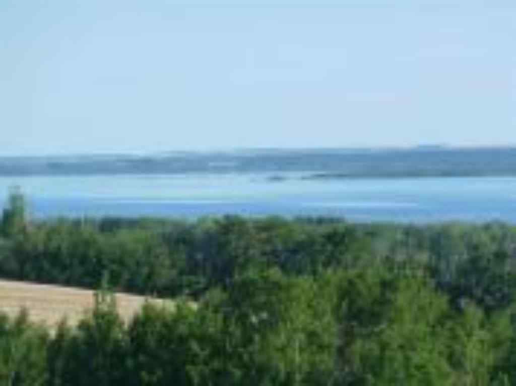 MLS® A2263216 - Unit #12 420069 Range Road 284   in Grandview Estates Rural Ponoka County, Land