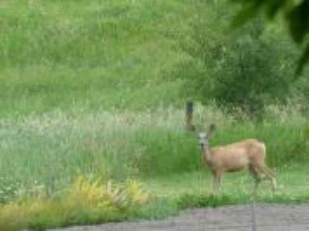 MLS® A2263216 - Unit #12 420069 Range Road 284   in Grandview Estates Rural Ponoka County, Land