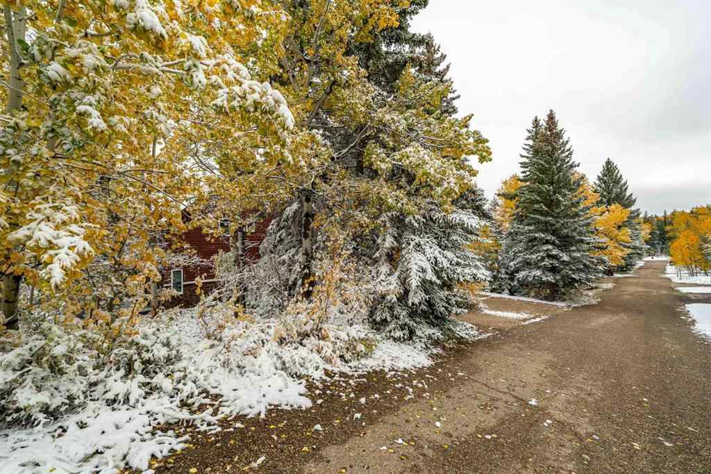 MLS® A2263240 - 210 6 Avenue  in Elkwater Rural Cypress County, Residential