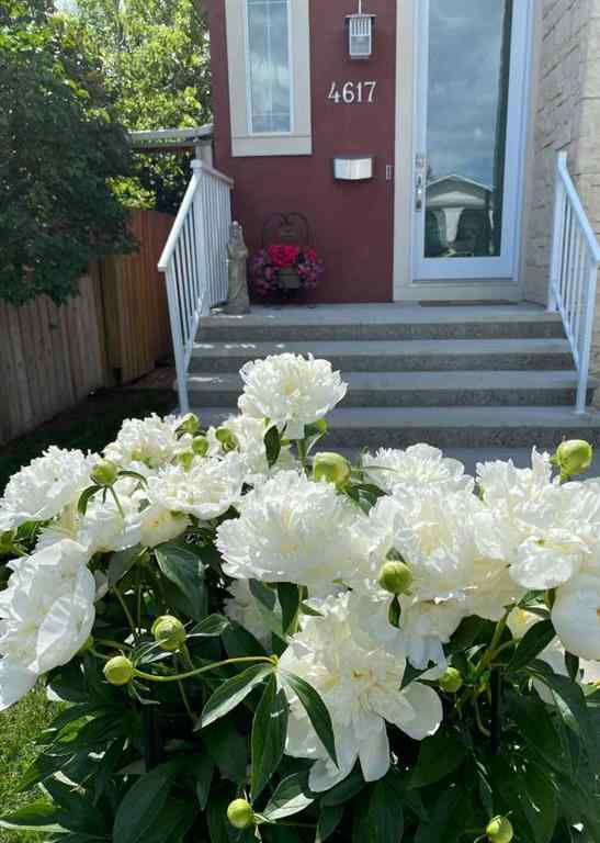 MLS® A2263285 - 4617 84 Street NW in Bowness Calgary, Residential