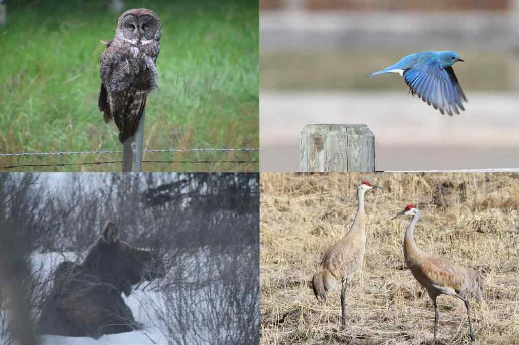 MLS® A2263342 - 280227 Range Road 54   in NONE Rural Rocky View County, Residential