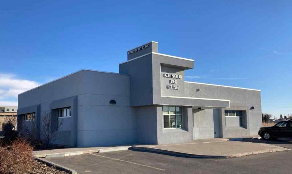 MLS® A2263463 - 487 41 Street S in Wt Hill Business Park Lethbridge, Commercial