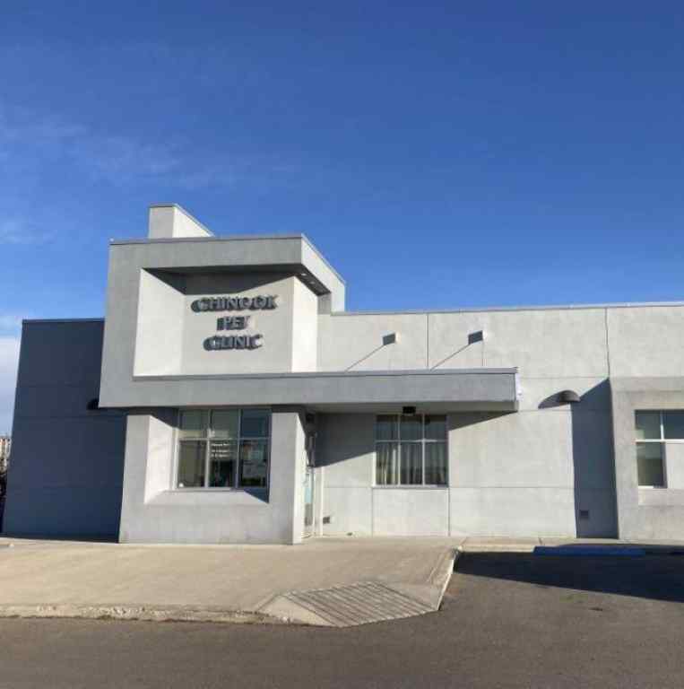 MLS® A2263463 - 487 41 Street S in Wt Hill Business Park Lethbridge, Commercial