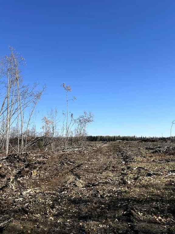 MLS® A2263504 -  SW 16-83-2-W6   in NONE Rural Clear Hills County, Land