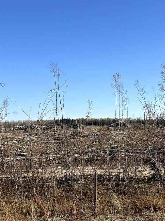 MLS® A2263504 -  SW 16-83-2-W6   in NONE Rural Clear Hills County, Land
