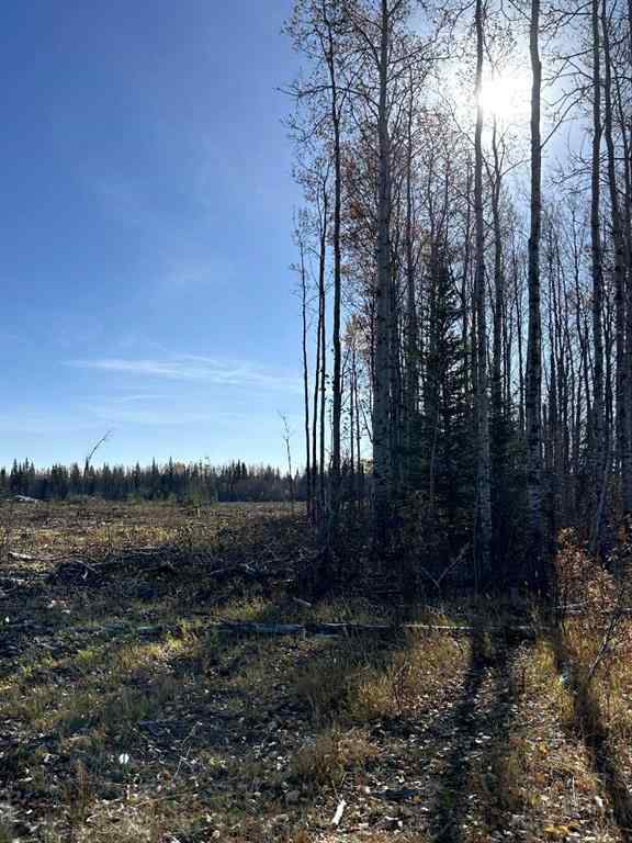 MLS® A2263504 -  SW 16-83-2-W6   in NONE Rural Clear Hills County, Land