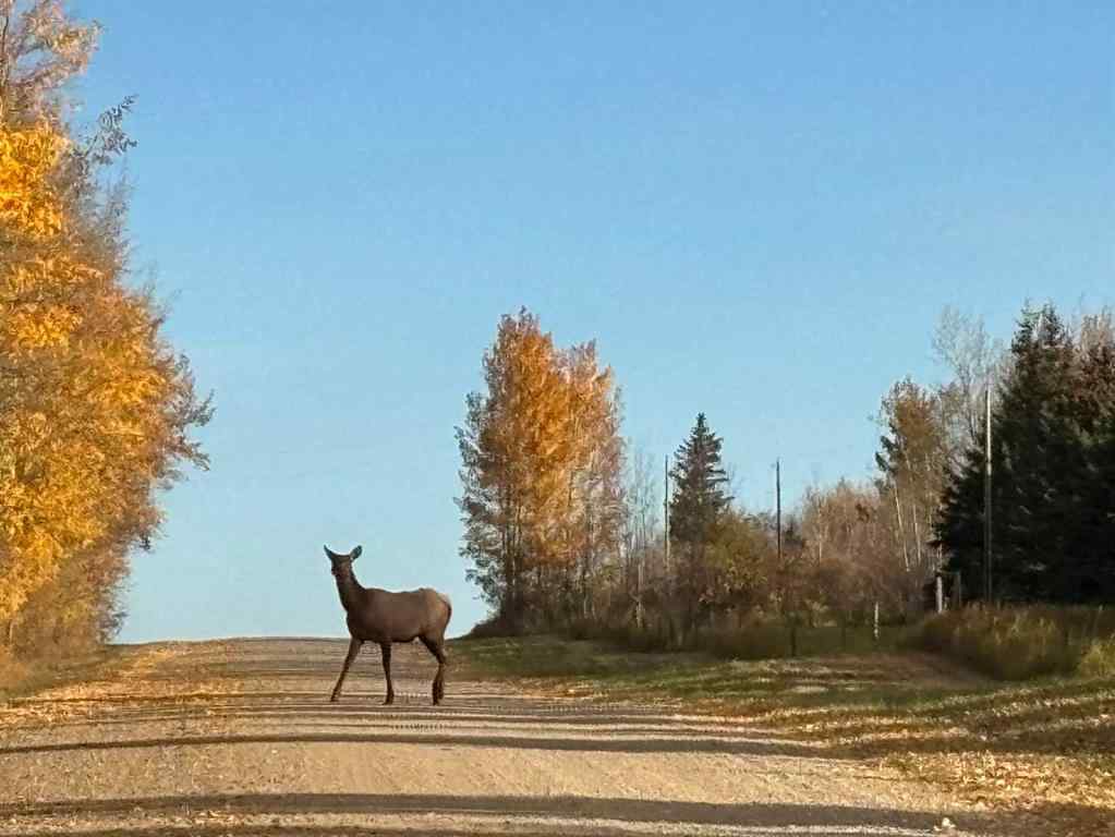 MLS® A2263563 -  SW 17-68-23-W4   in NONE Rural Athabasca County, Land