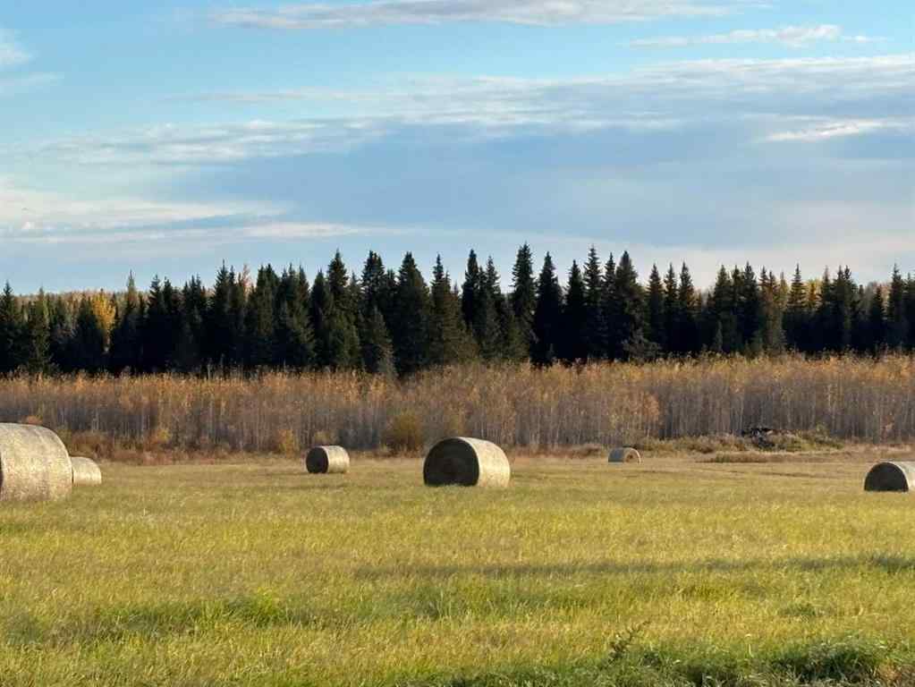 MLS® A2263563 -  SW 17-68-23-W4   in NONE Rural Athabasca County, Land