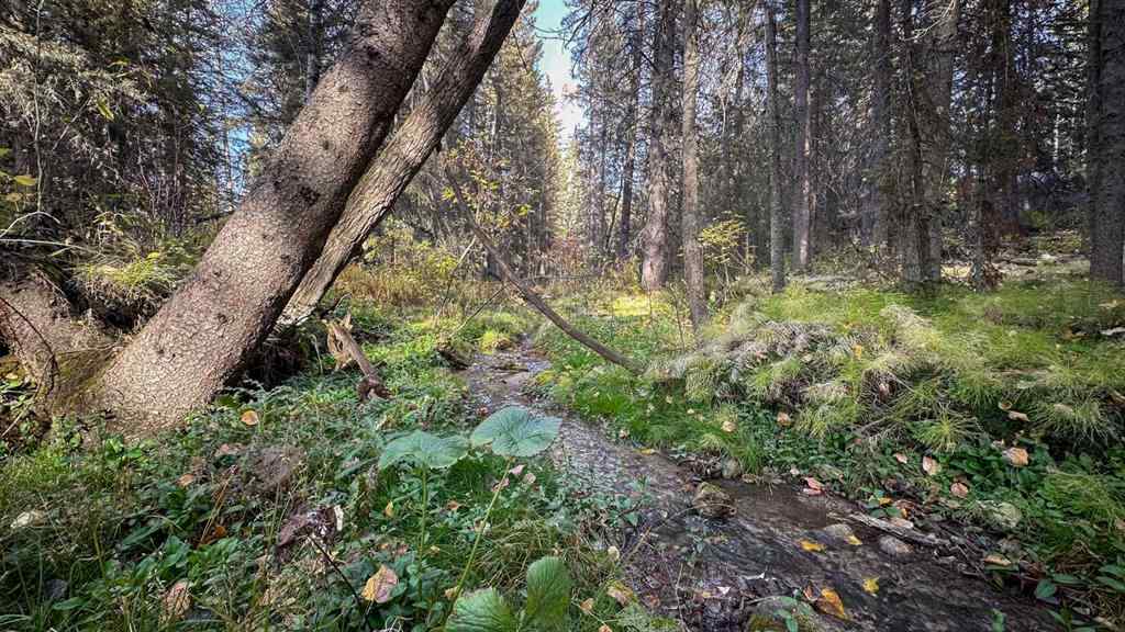 MLS® A2263749 - Unit #23 5227 Township Road 320   in Bergen Springs Rural Mountain View County, Residential