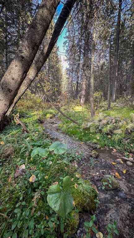 MLS® A2263749 - Unit #23 5227 Township Road 320   in Bergen Springs Rural Mountain View County, Residential