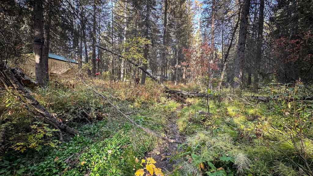 MLS® A2263749 - Unit #23 5227 Township Road 320   in Bergen Springs Rural Mountain View County, Residential