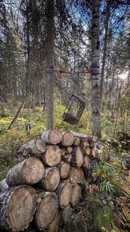 MLS® A2263749 - Unit #23 5227 Township Road 320   in Bergen Springs Rural Mountain View County, Residential