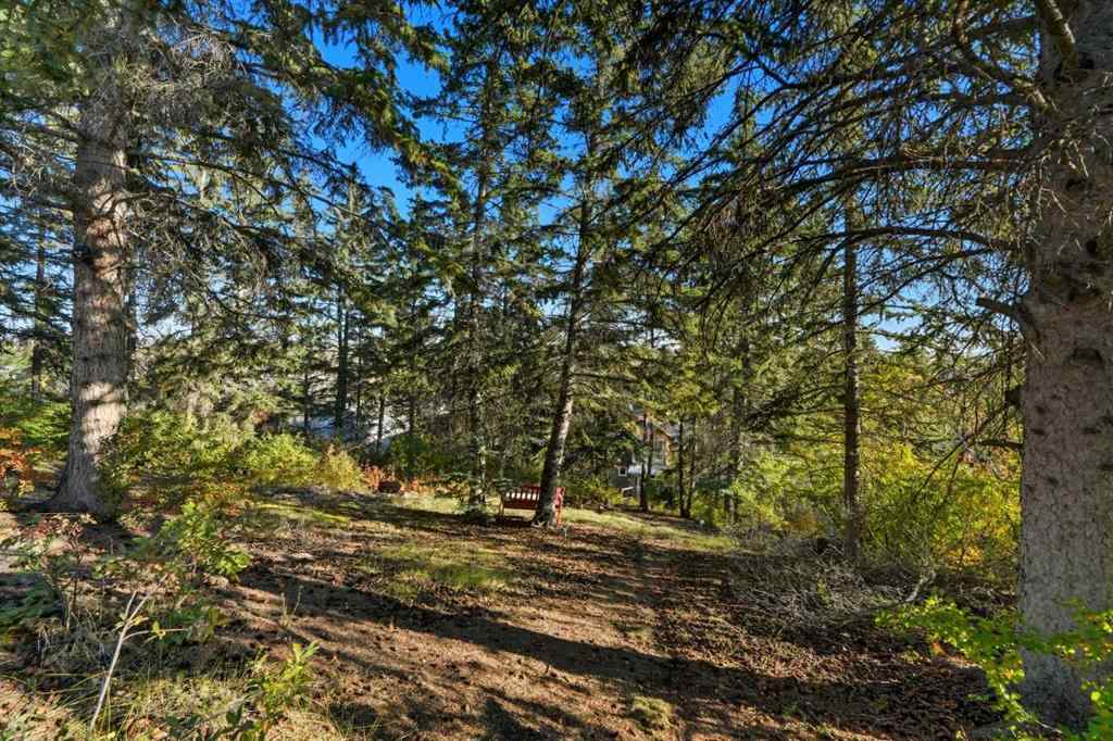 MLS® A2263753 - 8131 33 Avenue NW in Bowness Calgary, Residential