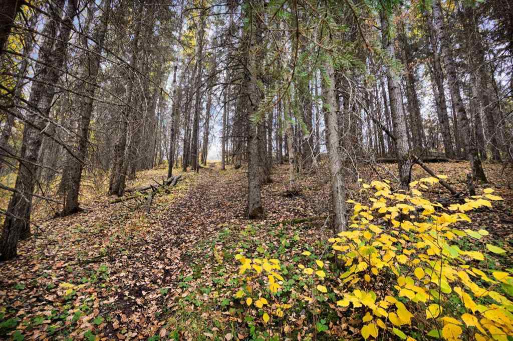 MLS® A2263765 - Unit #13 14021 53 Highway  in Poor Man\'s Flats Rural Ponoka County, Land