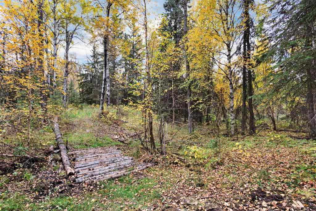 MLS® A2263765 - Unit #13 14021 53 Highway  in Poor Man\'s Flats Rural Ponoka County, Land