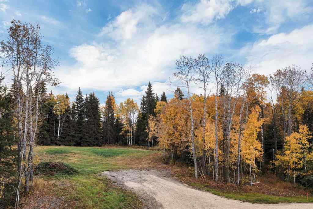 MLS® A2263765 - Unit #13 14021 53 Highway  in Poor Man\'s Flats Rural Ponoka County, Land