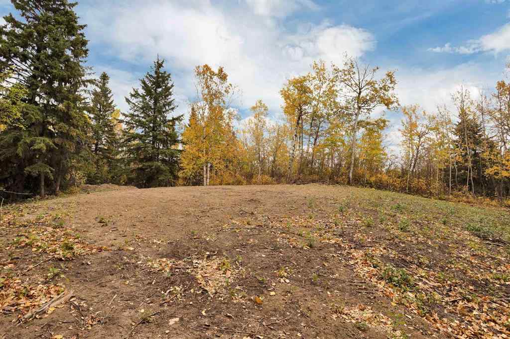 MLS® A2263781 - Unit #14 14021 53 Highway  in Poor Man\'s Flats Rural Ponoka County, Land