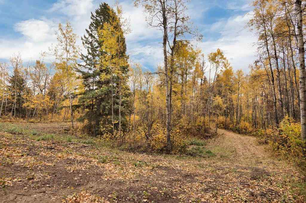 MLS® A2263781 - Unit #14 14021 53 Highway  in Poor Man\'s Flats Rural Ponoka County, Land