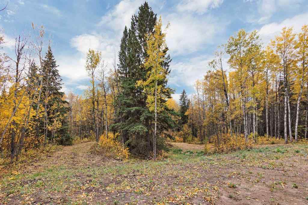 MLS® A2263781 - Unit #14 14021 53 Highway  in Poor Man\'s Flats Rural Ponoka County, Land