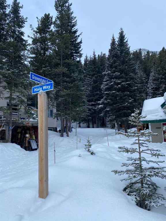 MLS® A2263820 - 40 Gravenstafel Gate  in Castle Mountain Resort Rural Pincher Creek No. 9, M.D. of, Land