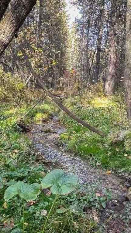 MLS® A2263912 - Unit #22 5227 Township Road 320   in Bergen Springs Rural Mountain View County, Land