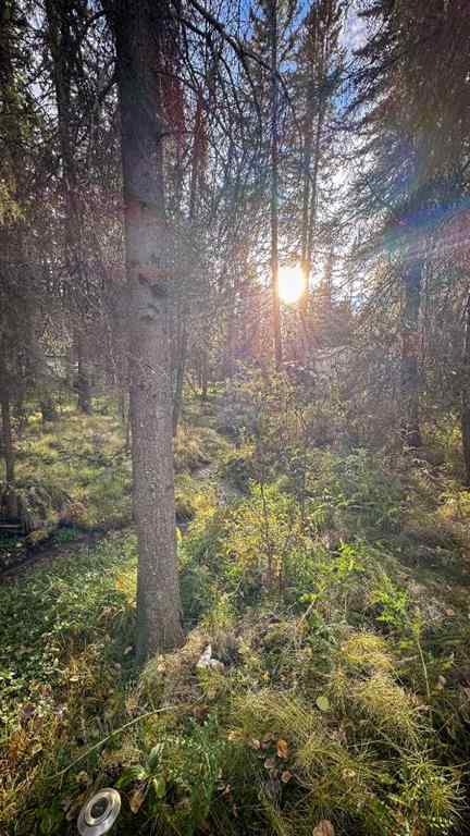 MLS® A2263912 - Unit #22 5227 Township Road 320   in Bergen Springs Rural Mountain View County, Land