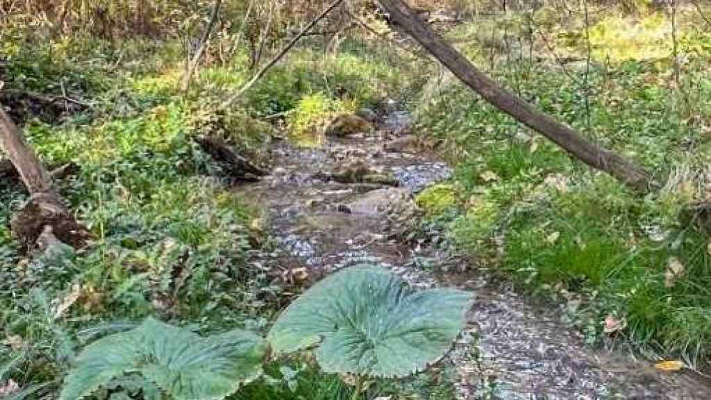 MLS® A2263912 - Unit #22 5227 Township Road 320   in Bergen Springs Rural Mountain View County, Land