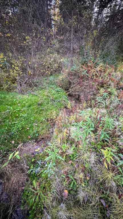 MLS® A2263912 - Unit #22 5227 Township Road 320   in Bergen Springs Rural Mountain View County, Land