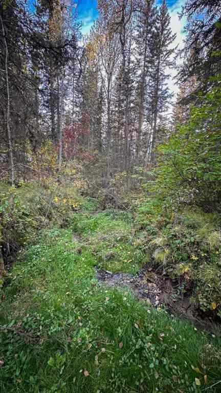 MLS® A2263912 - Unit #22 5227 Township Road 320   in Bergen Springs Rural Mountain View County, Land