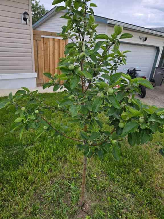 MLS® A2263951 - 9737 120 Avenue  in Crystal Ridge Grande Prairie, Residential