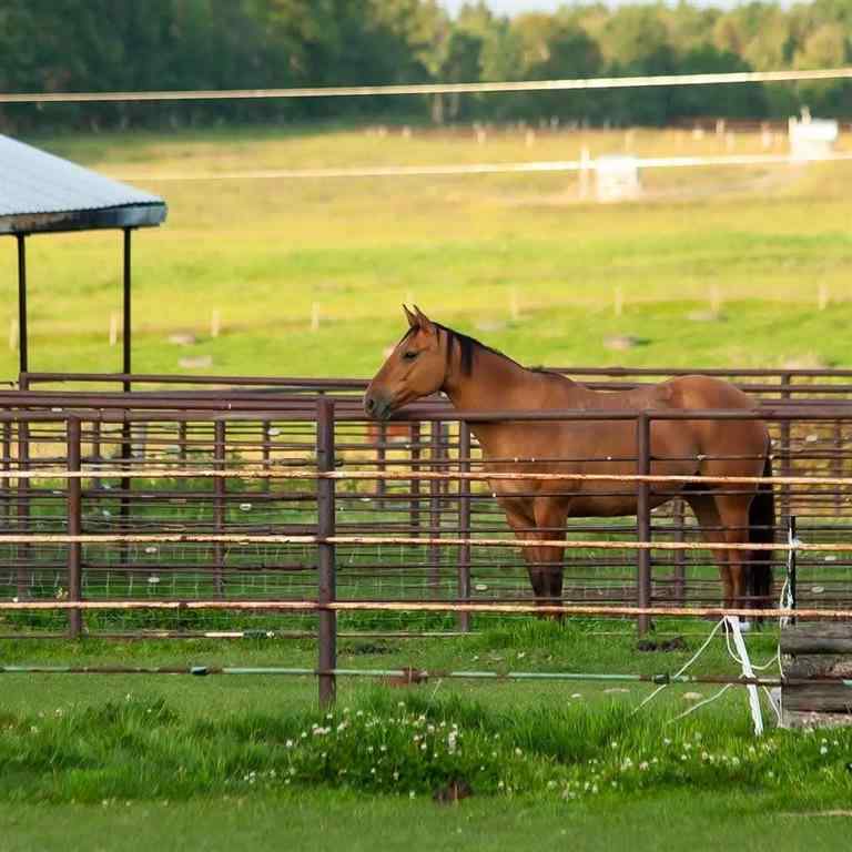 MLS® A2264032 - 5559 Township Road 320   in NONE Rural Mountain View County, Residential