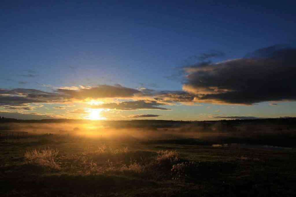 MLS® A2264032 - 5559 Township Road 320   in NONE Rural Mountain View County, Residential