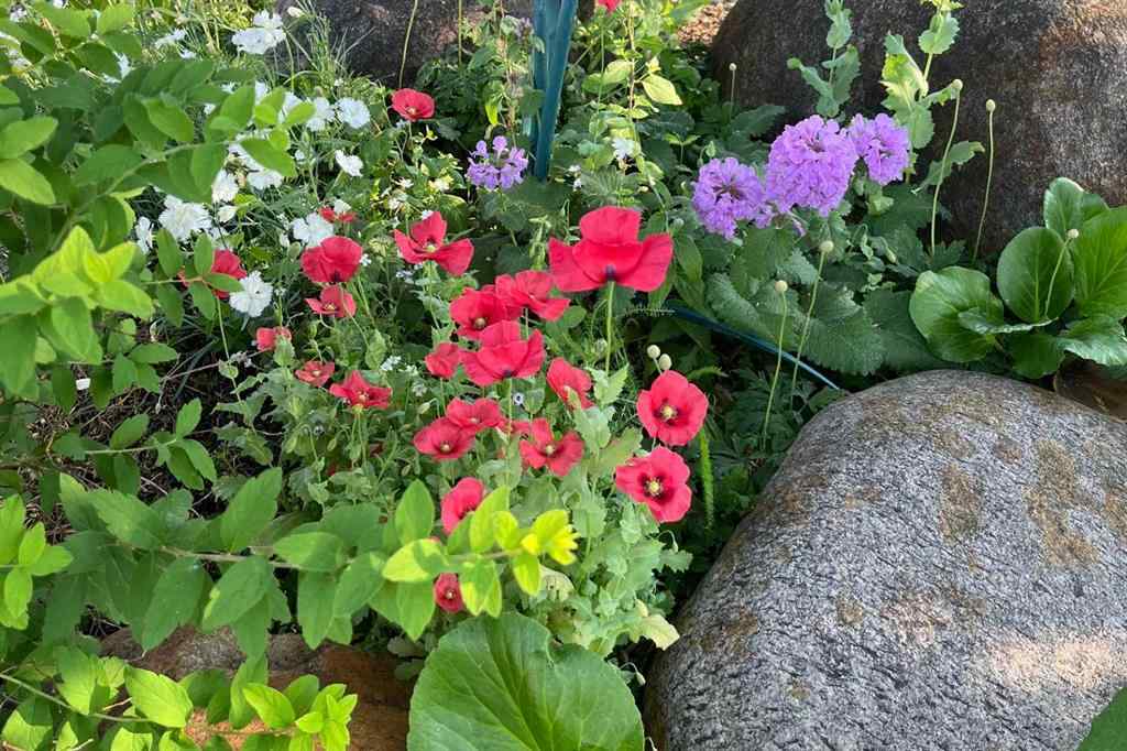 MLS® A2264057 - 34 Hollinger Drive  in NONE Swan Hills, Residential