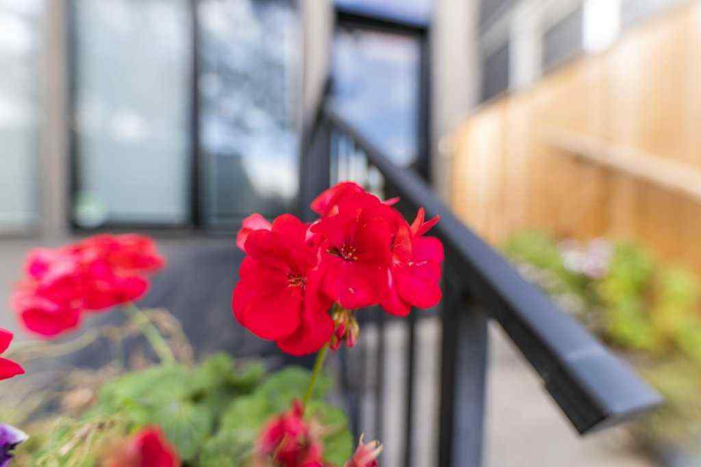 MLS® A2264115 - Unit #2 1926 36 Street SW in Killarney/Glengarry Calgary, Residential