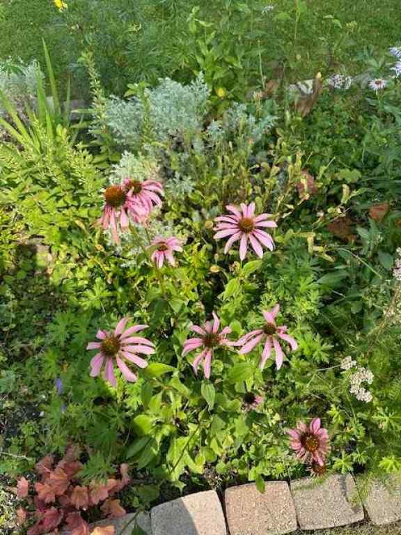 MLS® A2264201 - 4736 Worcester Drive SW in Wildwood Calgary, Residential