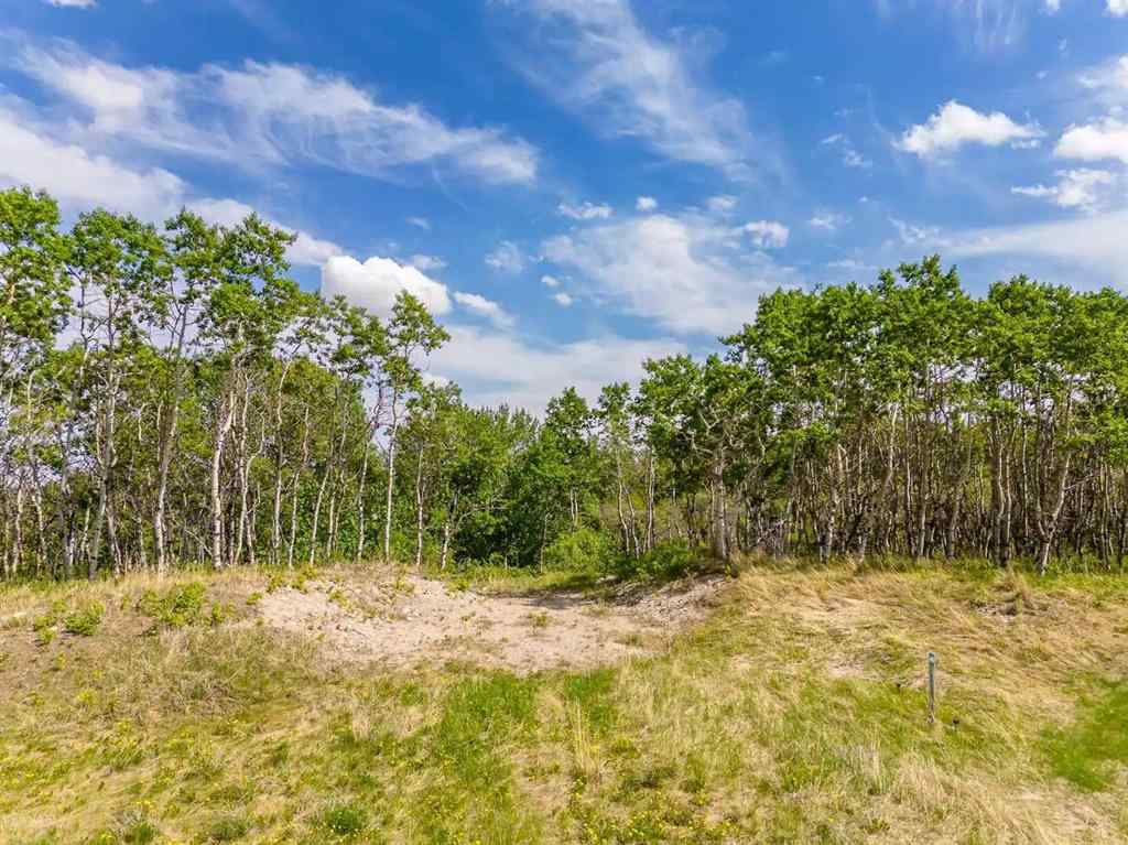 MLS® A2264296 - 113 Silverhorn Ridge  in Silverhorn Rural Rocky View County, Land