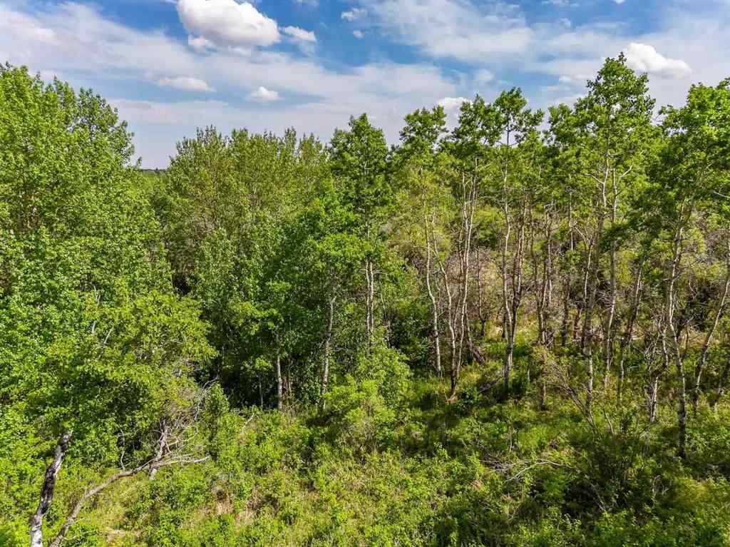 MLS® A2264296 - 113 Silverhorn Ridge  in Silverhorn Rural Rocky View County, Land