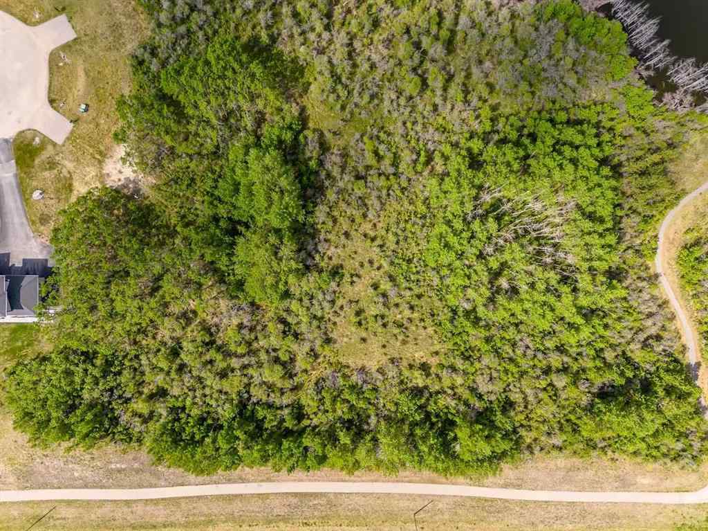 MLS® A2264296 - 113 Silverhorn Ridge  in Silverhorn Rural Rocky View County, Land