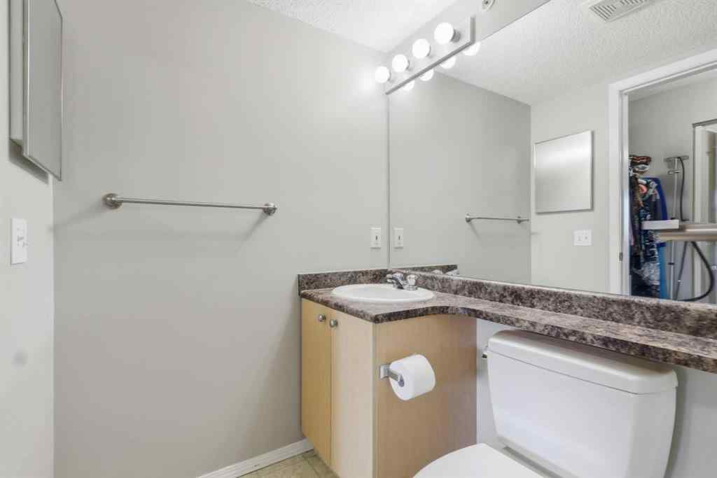 MLS® A2264337 - Unit #2417 4975 130 Avenue SE in McKenzie Towne Calgary, Residential