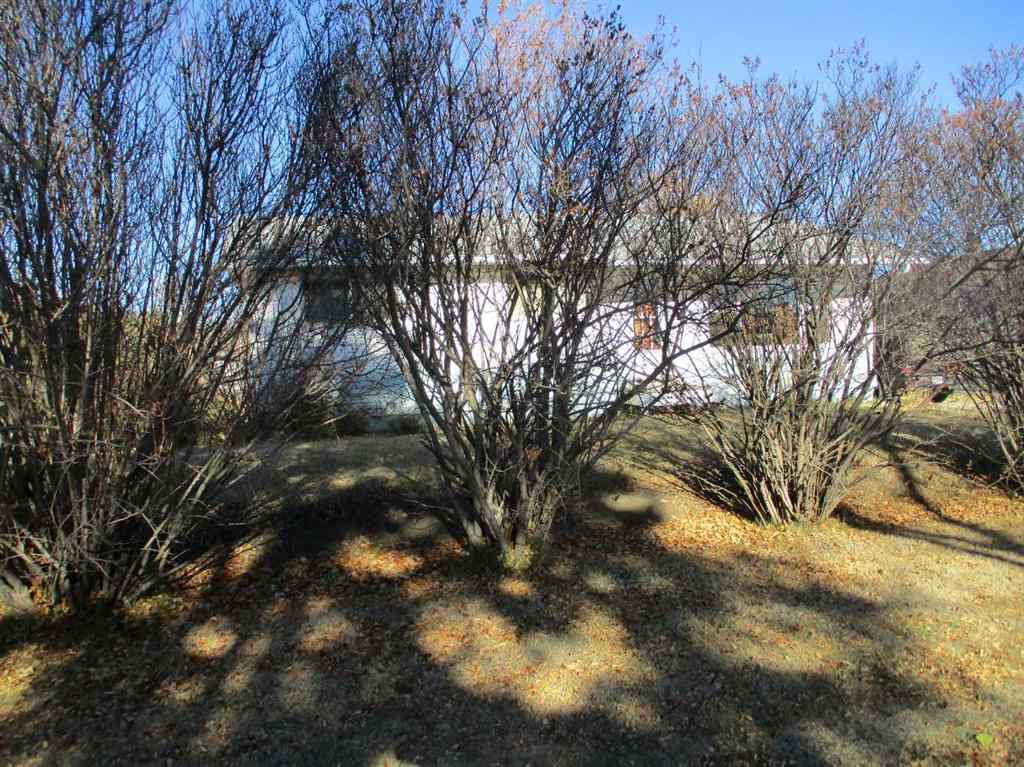 MLS® A2264429 - 220 2nd Avenue SW in NONE Manning, Residential