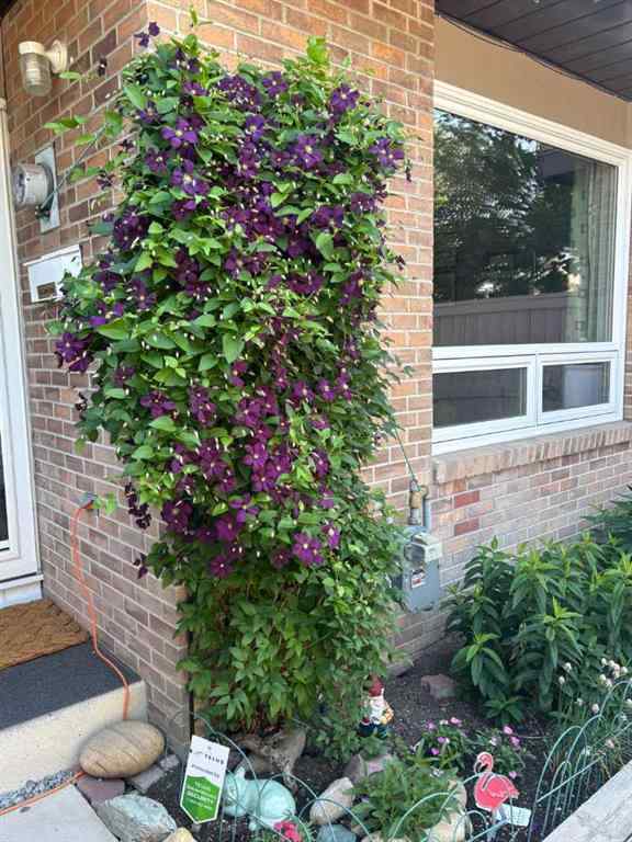 MLS® A2264496 - Unit #2 1055 72 Avenue NW in Huntington Hills Calgary, Residential