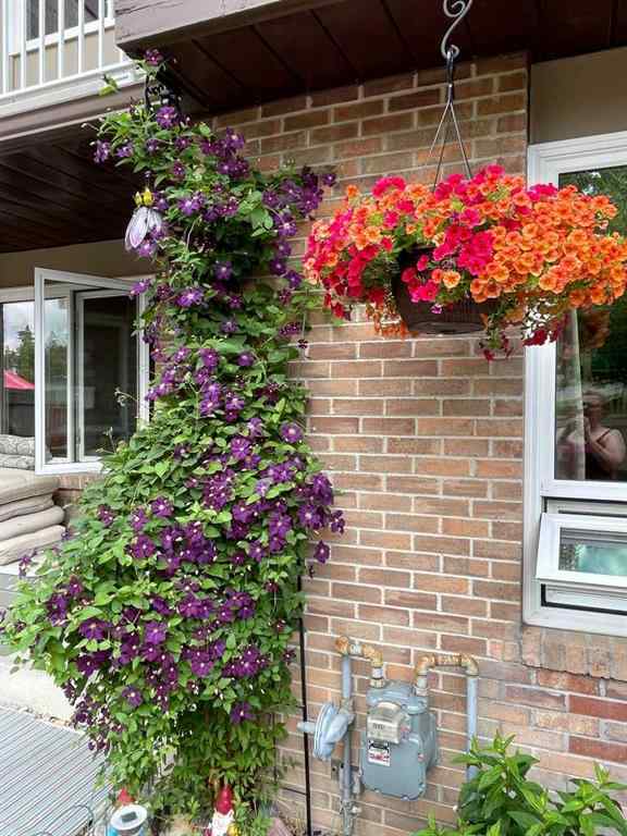 MLS® A2264496 - Unit #2 1055 72 Avenue NW in Huntington Hills Calgary, Residential