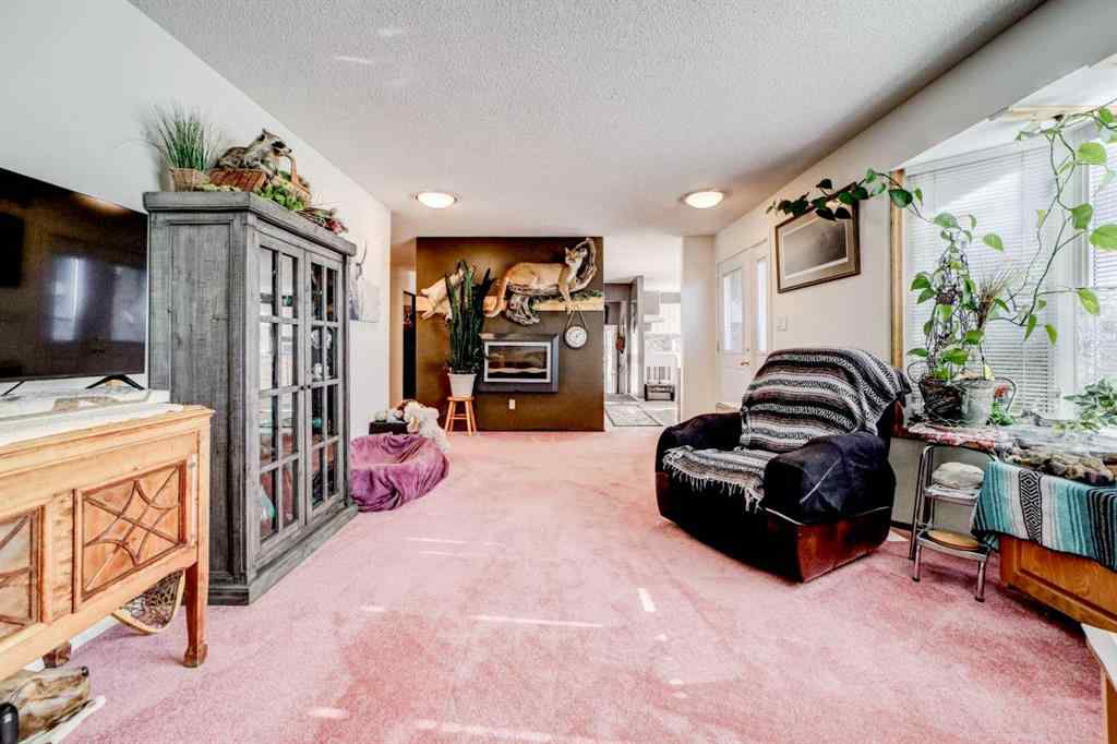 MLS® A2264551 - 123 Blayney Avenue  in NONE Barons, Residential