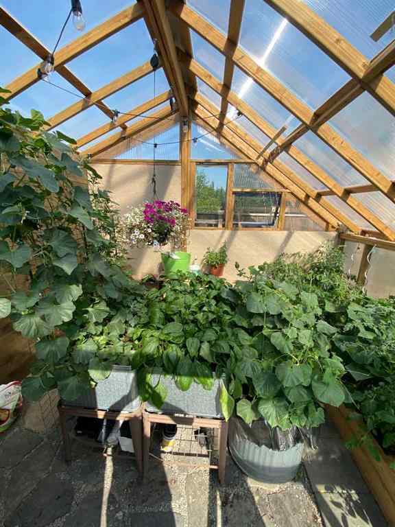 MLS® A2264627 - 23 Collins Crescent  in NONE Crossfield, Residential